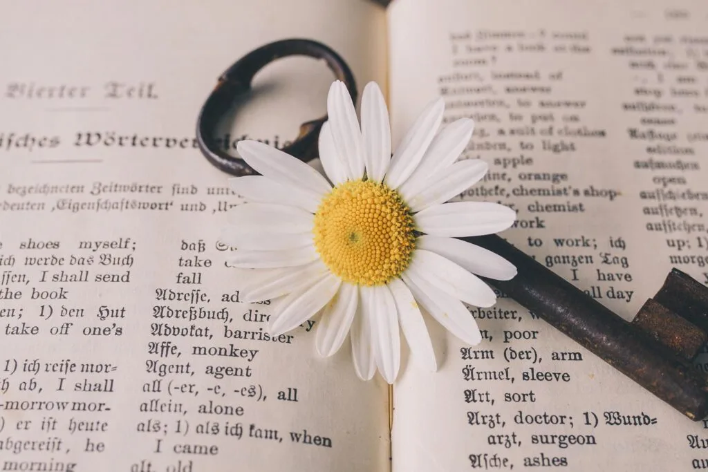 Frases – 57 frases que começam com A