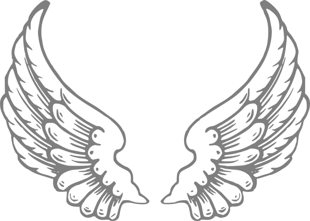 Nas asas de imaginação